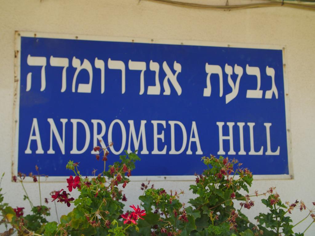 Andromeda Hill Apartments And Spa 特拉维夫 外观 照片